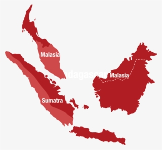 Distribución - Flag Map Of India #9846584