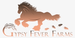 Gypsy Vanner Horse Breeders Gypsy Fever Farms - Mane #9848850