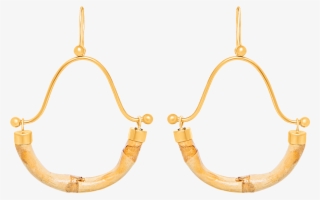 Earrings #9850490