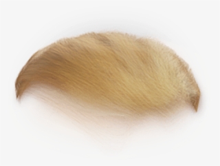 Blond #9851681