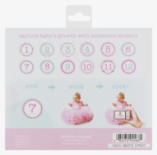 Baby Month Stickers Walmart Resume Stepping Stones - Paper #9851912