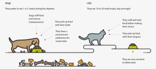 Diana Pet Food - Cartoon #9852856