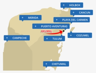 Akumal Travel Articles - Things To Do In Akumal Mexico #9853758