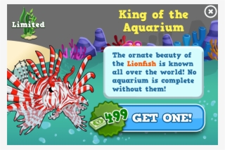 Pterois Is A Genus Of Venomous Marine Fish Found Mostly - Bacon Makes Everything Better T #9853995