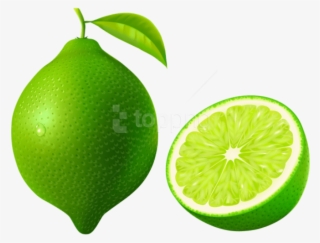 Free Png Green Lime Png Vector Png - Lime Clipart Png #9854220 Free Png Green Lime Png Vector Png - Lime Clipart Png #9854220