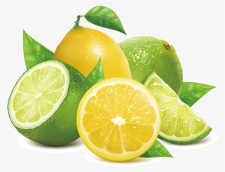 Lemon Key Lime - Lime Vector Png #9854254