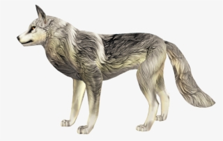 Toxic Red Wolf's Fur Textures - Kunming Wolfdog #9854381
