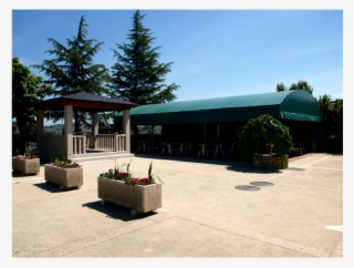 Photo Taken At Restaurante Embajadores By Business - Shortleaf Black Spruce #9854817