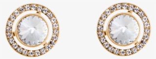 Swarovski Studs Gold/white - Earrings #9856929