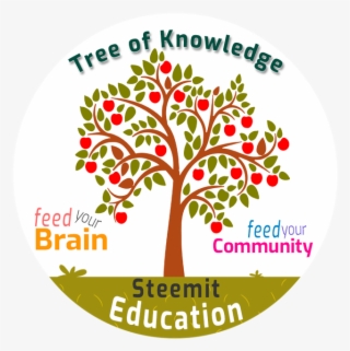 Unknown - Apple Tree Vector Png #9857304 Unknown - Apple Tree Vector Png #9857304