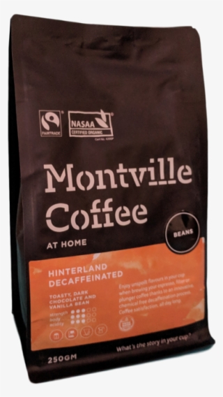 Montville - Kitten #9857414