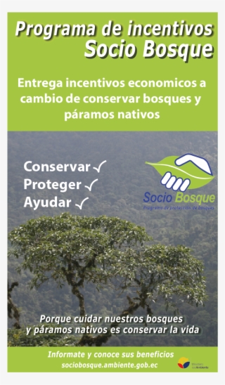 Sin Título-1 - Flyer #9859542