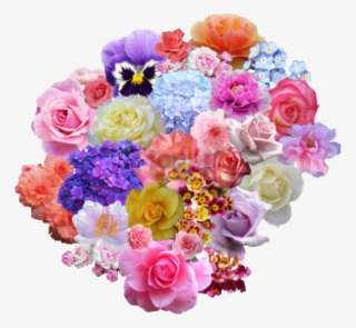 Free Png Download Tumblr Flowers Transparent Png Images - Rose #9860086