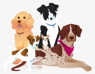 Dogfest Dogs - Treeing Walker Coonhound #9863613