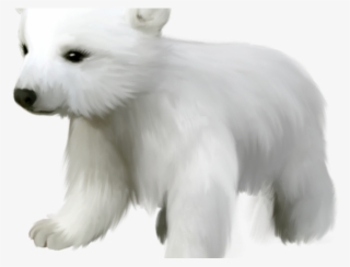 Polar Clipart Cub - Arctic Animals No Background #9864038 Polar Clipart Cub - Arctic Animals No Background #9864038