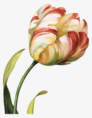 Tulips Flowers, Abstract Flowers, Flower Art, Botanical - Золотой Тюльпан #9864172