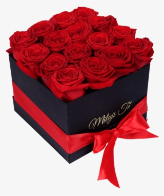 Rosas Para 14 De Febrero #9865328