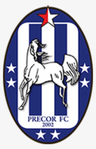 Hidubai Business Precor Fc B2b Services Holding Companies - Rd Congo #9867294