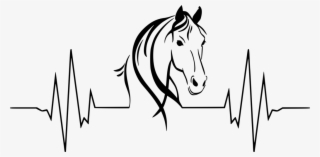 1024 X 504 12 0 - Heartbeat With Horse Head #9871108