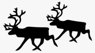 Lapland Activities Reindeer - Black And White Reindeer #9871664