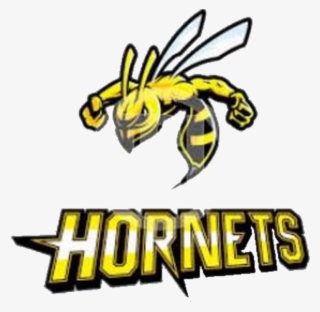 The Surrattsville Hornets Vs - Clarksville Generals Logo #9871789