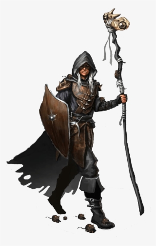 D&d Staff And Shield #9872351