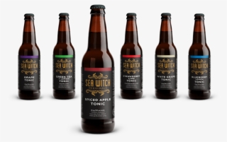 Sw Tonics - Beer Bottle #9873105