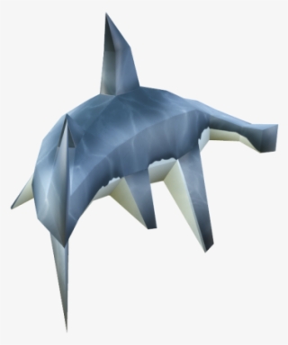 Bronze Hammerhead Shark #9874141