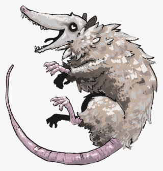 Opossum - Illustration #9874544