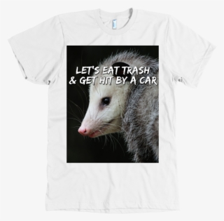 Lgfuapd Opossum - Common Opossum #9874689