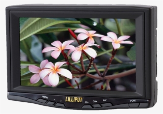 7 Inch Car Monitor Tft Lcd Tv With Av Input - Champey Flower #9874732