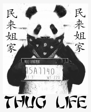 Thug Panda #9875216