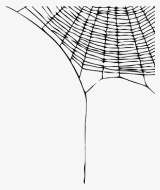 Spider Web Png Spider Web Transparent Png Stickpng - Charlotte Web Quotes #9876358