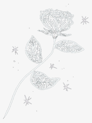 Rose Rosedrawing Handdrswibg Tumblr Tumblrrise Tumblrdoodle - Drawing #9878236