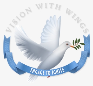 Imagenes De Paloma Hermosa #9880222