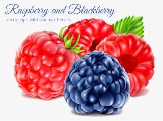 5239 X 3983 6 0 - Raspberry #9880407