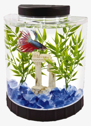 Tetra 2 Gallon Fish Tank - Betta Fish Tank #9880468