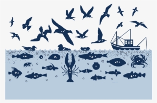 Eaten-by - Plastic Entering The Food Chain #9880471