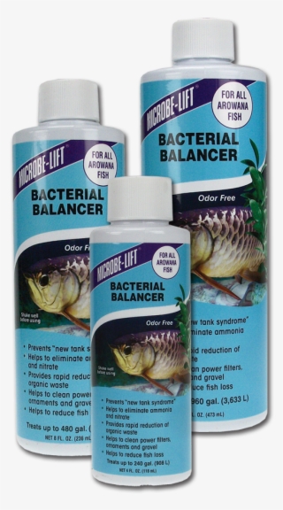 Home/home Aquarium/arowana Products/bacterial Balancer - Insect #9880589