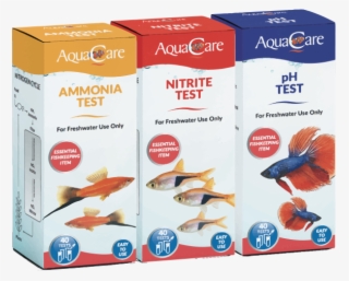 Buy Now - Carton #9880616