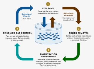 How Does A Ras System Work - Computer File #9880667