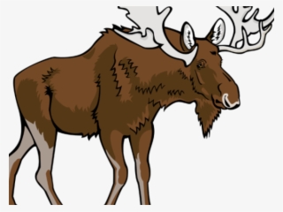 Moose Clipart Walking - Transparent Background Moose Clipart #9880972