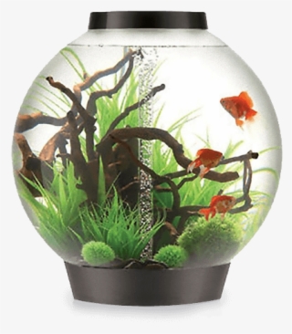 Biorb 105 Black Aquariums - Biorb Aquariums #9881200
