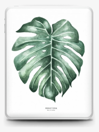 Monstera Deliciosa Skin Ipad - Monstera Watercolour #9881371
