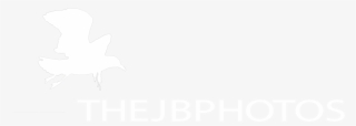 The Jb Photos Nature Photography - Sketch #9881476 The Jb Photos Nature Photography - Sketch #9881476