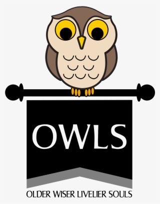 A Group Of Owls - Cartoon #9882154