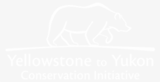 Y2y - Johns Hopkins White Logo #9883898