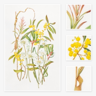 Mixed Flowers - Epidendrum #9885103