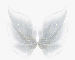 Free Butterfly Png Photo - Butterfly #9886826