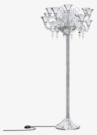 Desert Palm #9887570